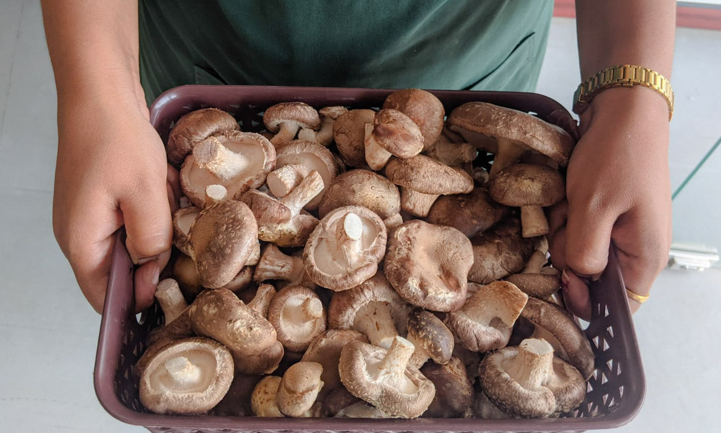 Buy Fresh Shiitake Mushrooms Online