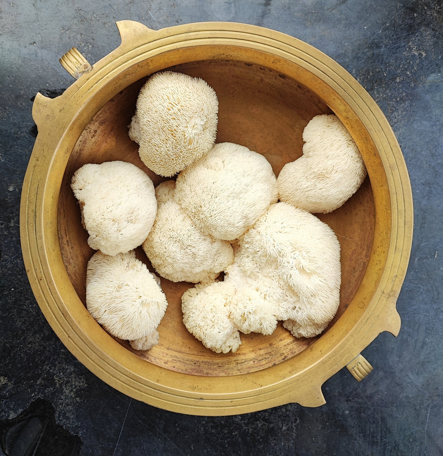 Dried Lion's Mane Mushroom Powder - Green Apron India