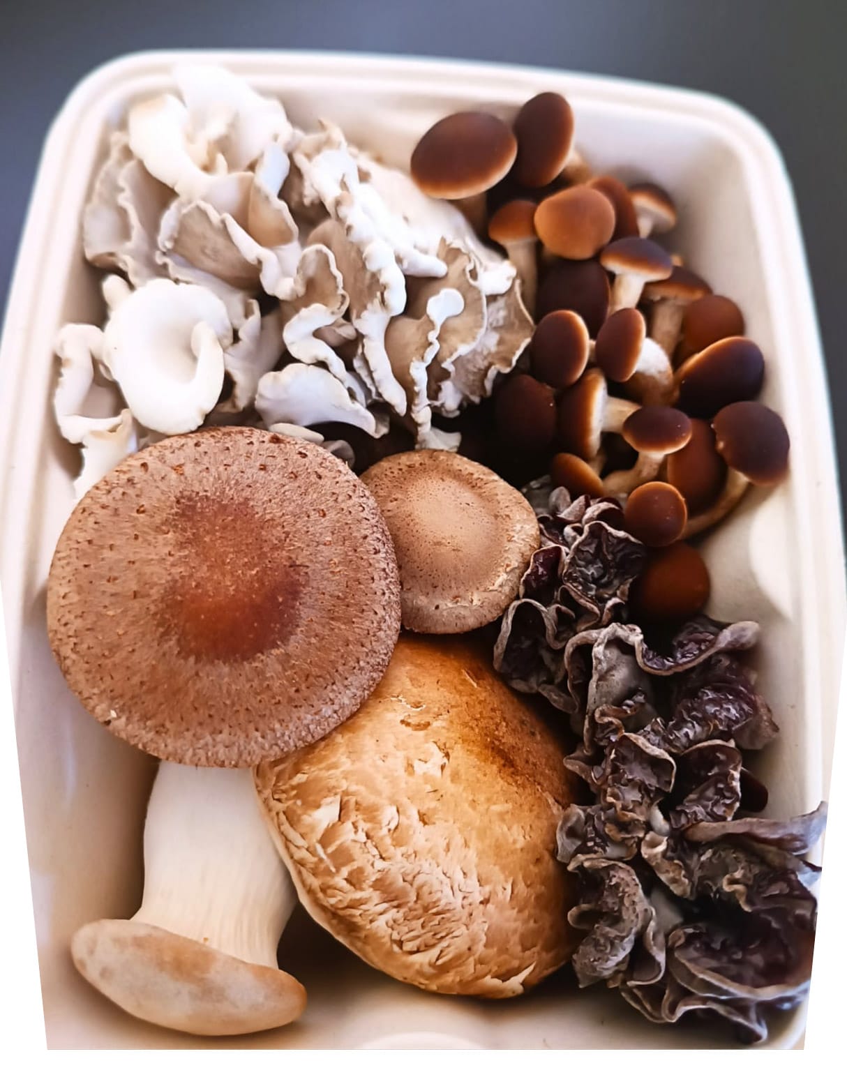 Fresh Assorted Mushrooms (Farmer's Pick-Bestseller) – Green Apron