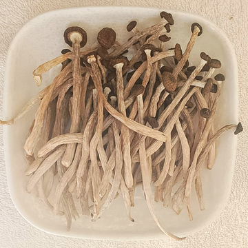 Sun-Dried Shimeji Mushrooms
