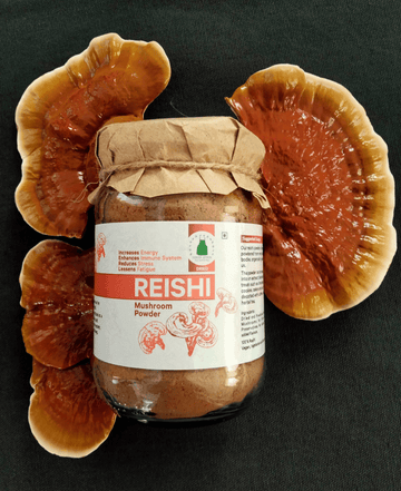 Reishi Mushroom Powder - Green Apron India