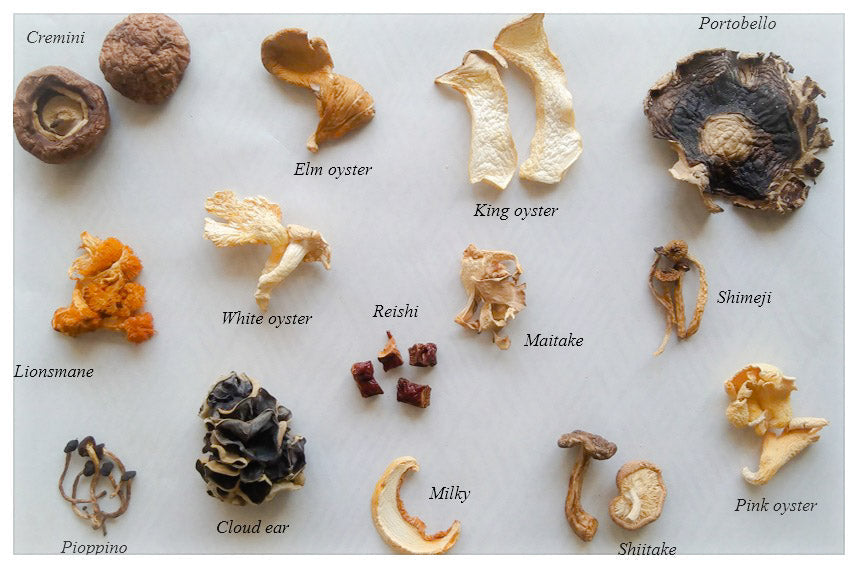 Dried Mushroom Medley- Farmer's Pick