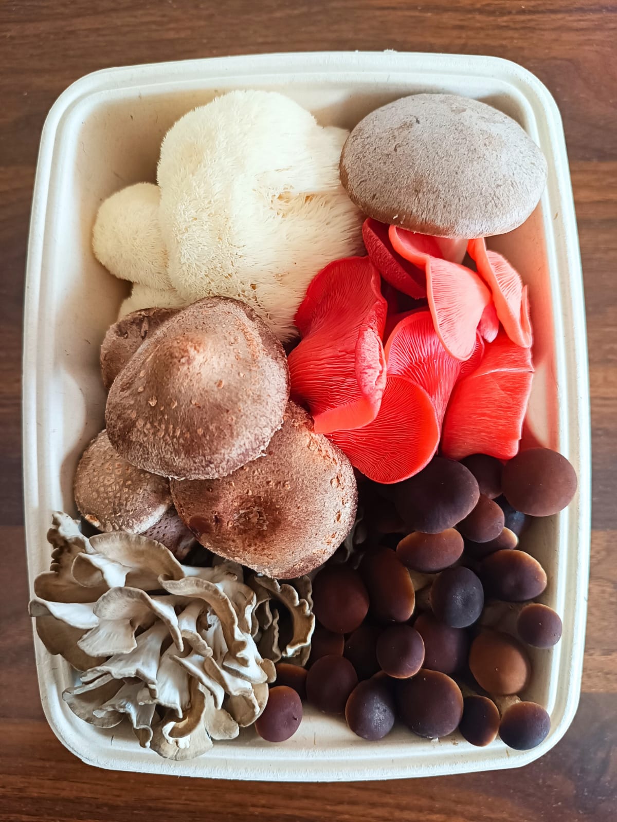 Fresh Assorted Mushrooms (Farmer's PickBestseller) Green Apron India